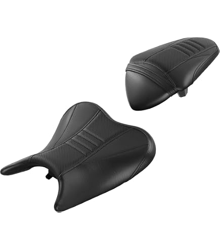 Amazon.com: C.C. RIDER Black Driver & Passenger Seat Fit for
